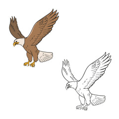 eagle isolated on white background. Hand drawn. Realistic, detailed, easy to edit. Vector illustration
