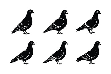 pigeon sitting vector silhouette design