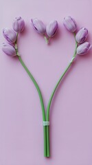 Fototapeta premium Lavender Tulips Arranged in a Heart Shape on a Pink Background for a Creative Display