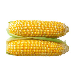 Fresh yellow corn on cob isolated on transparent background.