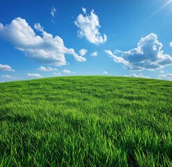 Fototapeta premium Green Grass Hill with Blue Sky and White Clouds