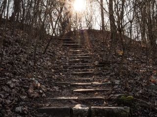 Stone steps leading uphill through a leafless forest, with sunlight shining from above. Late autumn...