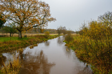 Vibrant Autumn River Scene with Golden Trees and Mirror Reflection