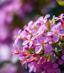 Fototapeta premium Close-up vibrant purple blossoms, soft focus background, purple flowers, delicate