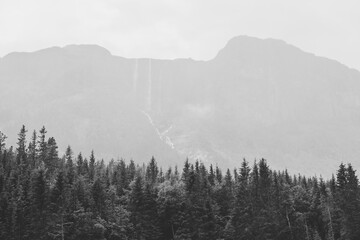 Norwegian mountain waterfall on a foggy autumn day with green coniferous trees in the foreground.