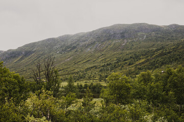 Norwegian mountain landscape with green trees and snow on the mountaintop on a foggy autumn day.