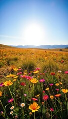 Obraz premium Vibrant sun-drenched landscape with wildflowers and a clear blue sky, design, illustration