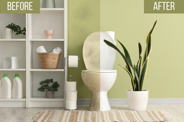 Toilet bowl, shelving unit and houseplants near green wall in rest room
