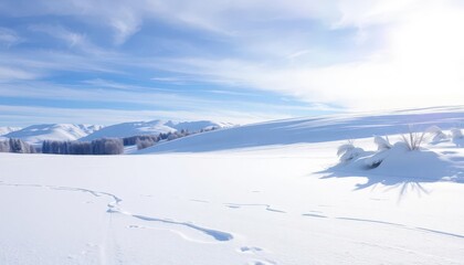 A pristine blanket of undisturbed snow covers a winter landscape under a bright, clear sky, background, illustration