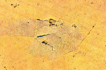 texture of old paper