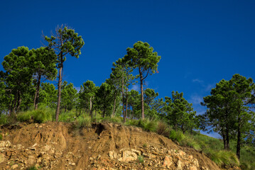 mountain, mountains, algeria, africa, landscape, nature, sky, panorama, outdoor, peak, hill, background, scenery, view, travel, rock, forest, valley, beautiful, hiking, adventure, scenic, tourism.