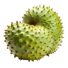 Soursop Fruit Closeup Green Spiky isolated on transparent background