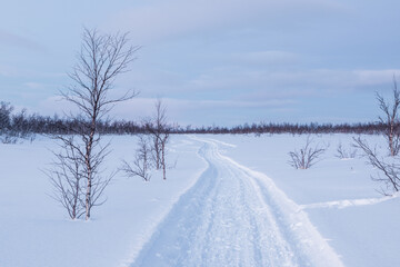Marked path in the snow.Beautiful evening in winter season in Kiruna Lapland, Sweden.