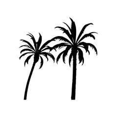 Obraz premium palm tree silhouette