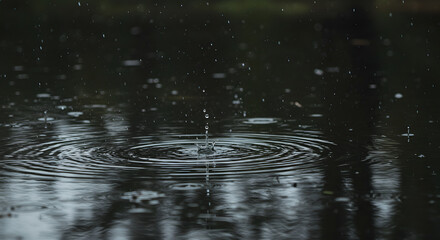Close-up of raindrops splashing on a dark water surface, creating ripples and reflections in a moody and tranquil nature scene