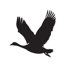 Obraz premium black image of a domestic goose bird in flight, black and white graphics, vector 