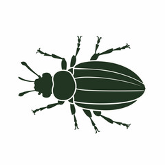 Stylized beetle, simple shapes, bold colors, vector graphic