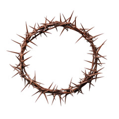 Fototapeta premium crown of thorns on a white background
