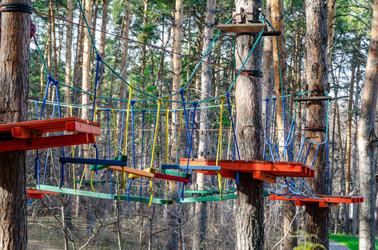 Vibrant Adventure Course in Forest Setting, rope park