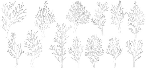 Fototapeta premium branches of trees, silhouettes of bare branches. Vector illustration