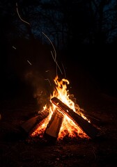 fire in the fireplace