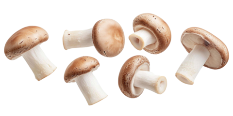 Flying champignon mushrooms isolated on a white backround. cutout and no shadow