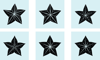 Obraz premium Starfruit silhouette vector
