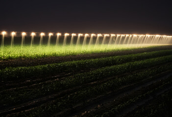 A field being irrigated at night using a drip system, with the lights from surrounding farm equipment casting a soft glow over the water droplets.