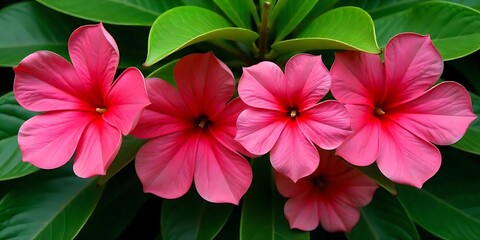 Enchanting Floral Wonderland &ndash; Beautiful Flower Wallpaper Background