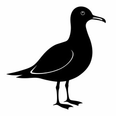 Coastal Bird Silhouette Design