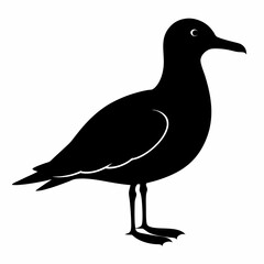 Coastal Bird Silhouette Design