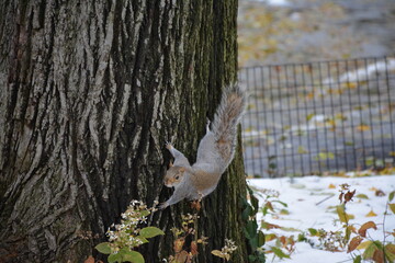 A trip to New York City is an unforgettable experience