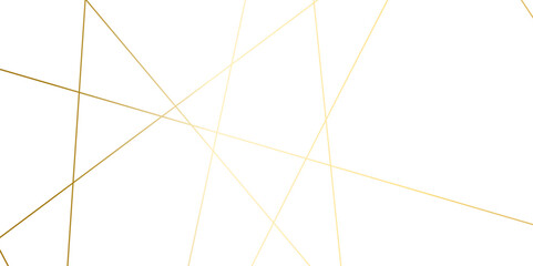 Luxury premium golden random chaotic wave lines abstract background. Vector, illustration	