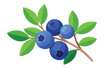 Stylized Blueberry Branch with Blue Berries and Green Leaves Isolated on White