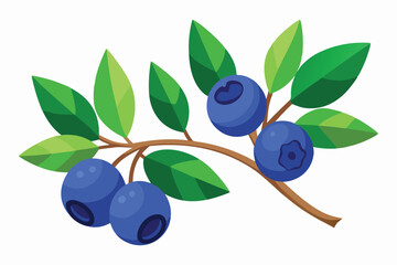 Stylized Blueberry Branch with Green Leaves and Berries on a White Background
