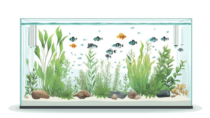 A digital illustration depicting a rectangular glass aquarium. The aquarium contains various species of small colorful fish swimming amongst a lush bed of green aquatic plants.  The substrate
