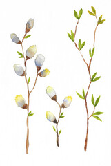 set of watercolor green leaves