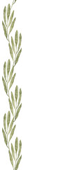 Seamless vertical border of green leaves. Hand drawn watercolor illustration. For first communion, baptism, wedding greeting cards, invitation, save the date, anniversary and birthday party