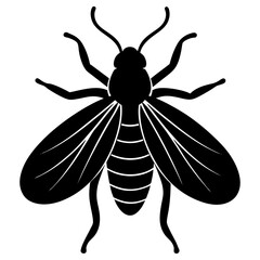 Insect Silhouette