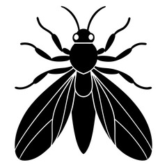 Insect Silhouette