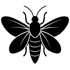 Insect Silhouette