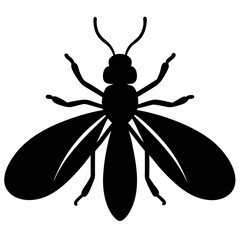 Insect Silhouette