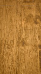 Old wood texture for background. Used wood texture.