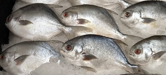 Fresh fish on ice at the fresh market.
