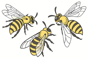 17 Detailed illustration of three honeybees, photorealistic, macro photography, scientific accuracy, yellow and black striped bodies, transparent wings, intricate insect anatomy, white background, iso