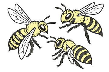 17 Detailed illustration of three honeybees, photorealistic, macro photography, scientific accuracy, yellow and black striped bodies, transparent wings, intricate insect anatomy, white background, iso