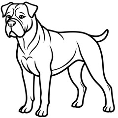 Fototapeta premium Strong Cane Corso Line Art: A distinguished Cane Corso dog with a strong, muscular build and a serious expression, captured in a clean, clear line art illustration.