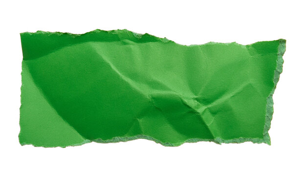 a green piece of torn paper with texture showing 