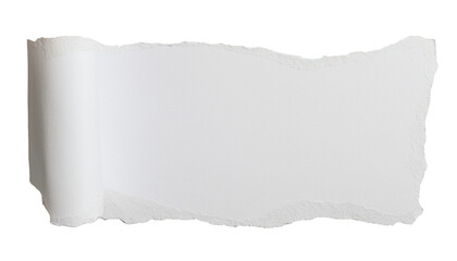 a blank piece of torn paper, with textured edges, against an empty backdrop. The texture and the torn edges gives a sense of rawness