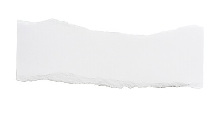 A torn piece of paper with rough edges, ready for your message or design. The paper is stark, highlighting the raw tear 